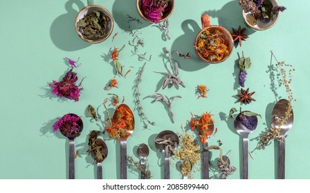 Assortment of dried relaxing tea herbs in spoons on mint green background. Calendula, mint, anise hyssop, monarda didyma, wormwood, sage leaves.