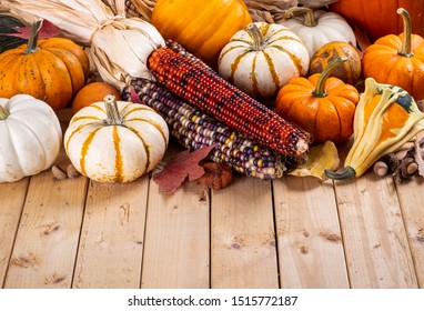 Assortment of fall mini pumpkins and indian corn on a wooden surface with copy space - Powered by Shutterstock