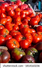 Assortment of french salad tomatoes, new harvest of big heirloom tomatoes  on market in Provence, France in sunny day