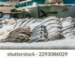 Assortment of fresh fish on ice close-up, open showcases of seafood market. Fish store, seafood market