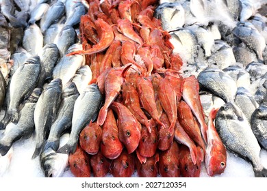 assortment of fresh fishes at fishmonger
