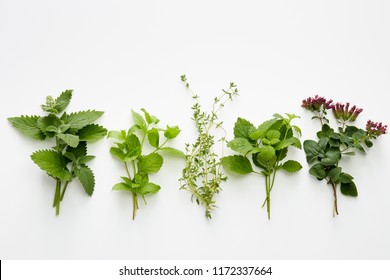 Assortment Of Fresh Herbs (catnip, Mint, Thym, Lemon Balm And Oregano) On White Background. 