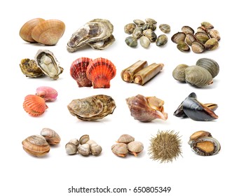 Assortment Of Fresh Shellfish On White Background