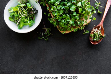 Assortment of micro greens at black background, copy space, top view. Healthy lifestyle