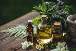 Assortment Of Organic Essential Oils, Herbal Extracts And Medical Flowers Herbs In Glass Bottles. Alternative Therapy, Aromatherapy. Natural Ingredients In Cosmetic And Medicine