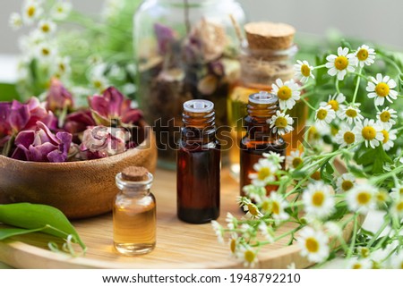 Assortment of organic essential oils. Natural moisturizing body and face treatment. Rose, camomile extract for healthy young skin. Relaxation, aromatherapy, salon spa. Close up, macro view