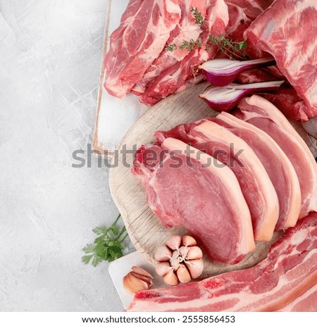Assortment of raw pork meat on light grey background. Organic gourmet food concept. Top view, flat lay, copy space