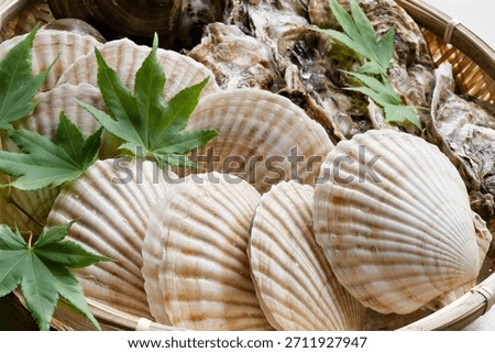Assortment of three types of live shellfish