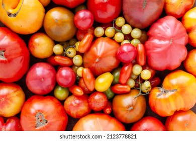 Assortment of tomatoes. Plenty fresh tomatoes of various colors and cultivar background texture. - Powered by Shutterstock