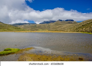 Astonishing Limpiopungo Lake, In The National Park Cotopaxi