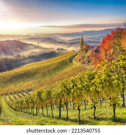 Astonishing Vineyards Landscape In South Styria Near Gamlitz. Autumn Scene Of Grape Hills In Popular Travell Destination Eckberg. Location: Gamlitz, District Of Leibnitz In Styria, Austria. Europe.