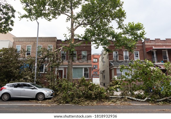 Astoria Queens, New York / USA - August\
7 2020: Fallen Trees and Branches in front of Homes and Cars after\
a Tropical Storm in Astoria Queens of New York\
City