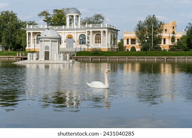 Astrakhan, Russia. Swan Lake. Swan on the water of the lake - Powered by Shutterstock