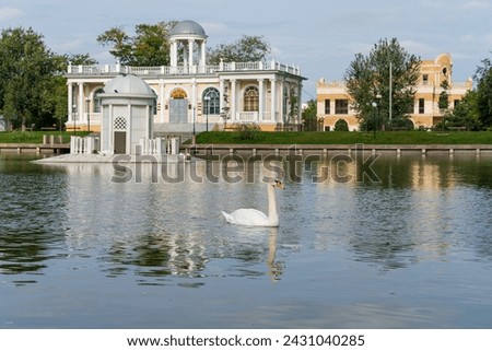 Astrakhan, Russia. Swan Lake. Swan on the water of the lake