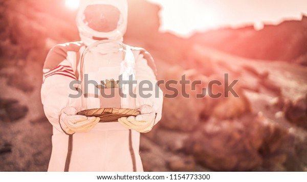 Astronaut bringing plant box in other planet -\
Spaceman trying to bring life into new galaxy - Saving the\
environment mission, discovering, and future concept - Focus on\
cosmonaut hands and\
herb