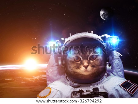 An astronaut cat floats above Earth. Stars provide the background. Elements of this Image Furnished by NASA.