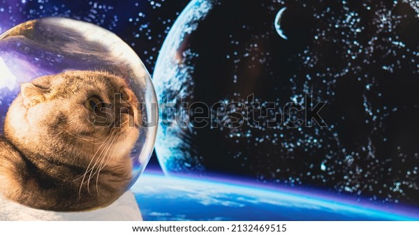 An\
astronaut cat in outer space against the background of the globe.\
The first flight into space. Banner with copy\
space