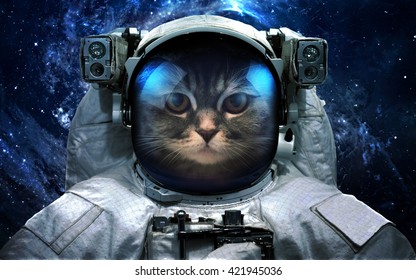 4,759 Astronaut Cat Images, Stock Photos & Vectors | Shutterstock