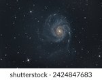 Astrophotograph of the Pinwheel Galaxy M101