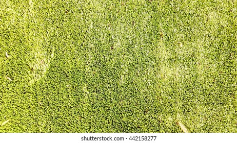 Astroturf Texture Background