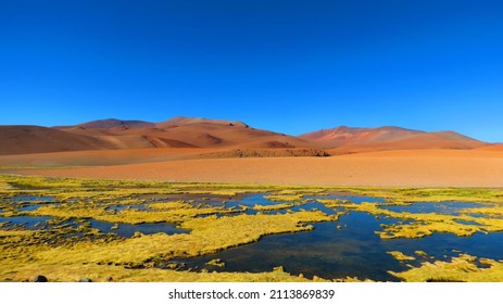 Atacama Desert, Road To Salar De Tara, Chile