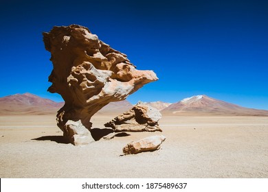 Atacama Desert Stone Tree Chile