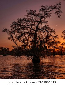 Atchafalaya Basin Sunset In Louisiana