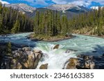 Athabasca River and Sunwapta Falls, Jasper national park, Alberta, Canada.