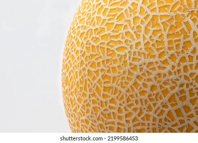 Athena Cantaloup Melon Close Up