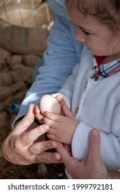 Athens, Greece - June 24, 2021: Young Girl Collecting Eggs At A Small Family Farm.