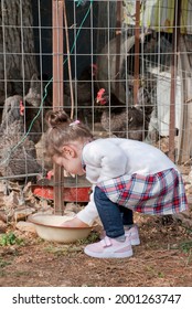 Athens, Greece - June 24, 2021: Young Girl Collecting Eggs At A Small Family Farm.