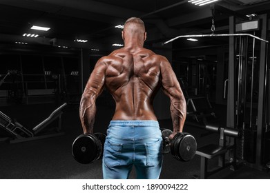 The athlete does an exercise in the gym with dumbbells. Back view. Shrugs. Fitness, bodybuilding, powerlifting concept. Mixed media - Powered by Shutterstock