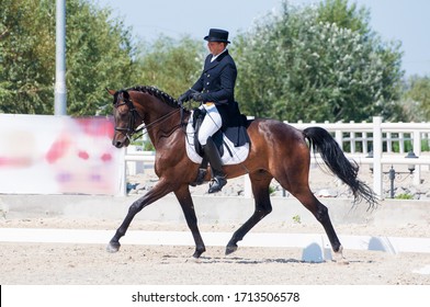 
Athlete on horseback horses. 
Dressage horses. 