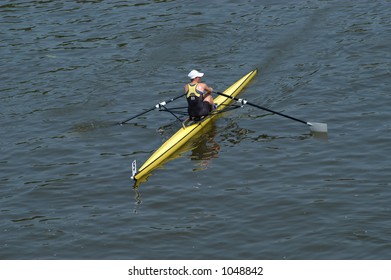 38 Boar scull Images, Stock Photos & Vectors | Shutterstock