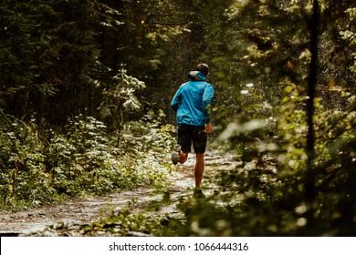 athlete runner in blue sports jacket forest trail in rain - Powered by Shutterstock