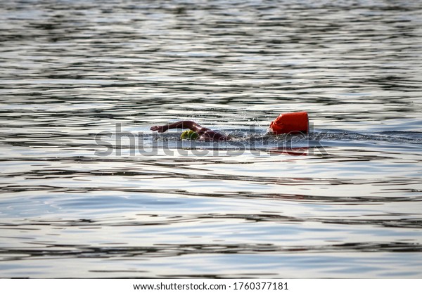 Athlete swims in open\
water with red float