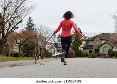 Athletic Caucasian Adult Woman Running Outside With A Boxer Dog. Suburban Neighborhood In A Modern City Of Fraser Heights, Surrey, Vancouver, British Columbia, Canada.