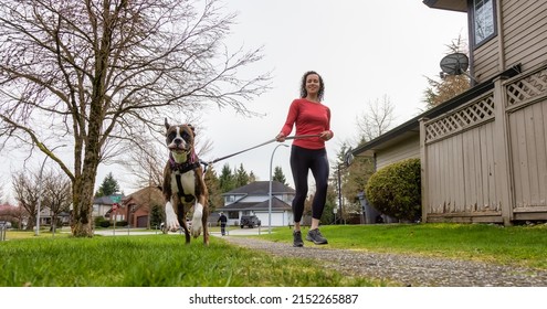 Athletic Caucasian Adult Woman Running Outside With A Boxer Dog. Suburban Neighborhood In A Modern City Of Fraser Heights, Surrey, Vancouver, British Columbia, Canada.