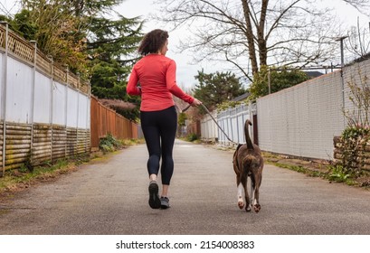 Athletic Caucasian Adult Woman Running Outside With A Boxer Dog. Suburban Neighborhood In A Modern City Of Fraser Heights, Surrey, Vancouver, British Columbia, Canada.