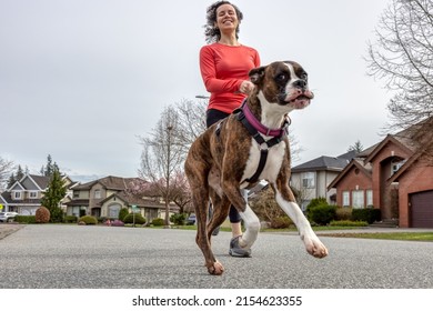 Athletic Caucasian Adult Woman Running Outside With A Boxer Dog. Suburban Neighborhood In A Modern City Of Fraser Heights, Surrey, Vancouver, British Columbia, Canada.