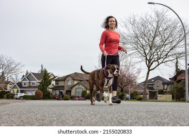 Athletic Caucasian Adult Woman Running Outside With A Boxer Dog. Suburban Neighborhood In A Modern City Of Fraser Heights, Surrey, Vancouver, British Columbia, Canada.