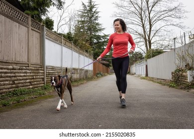 Athletic Caucasian Adult Woman Running Outside With A Boxer Dog. Suburban Neighborhood In A Modern City Of Fraser Heights, Surrey, Vancouver, British Columbia, Canada.