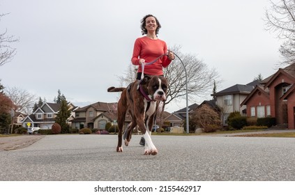 Athletic Caucasian Adult Woman Running Outside With A Boxer Dog. Suburban Neighborhood In A Modern City Of Fraser Heights, Surrey, Vancouver, British Columbia, Canada.