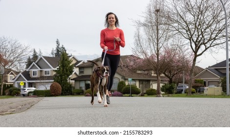 Athletic Caucasian Adult Woman Running Outside With A Boxer Dog. Suburban Neighborhood In A Modern City Of Fraser Heights, Surrey, Vancouver, British Columbia, Canada.