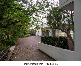 Athletic stadium
