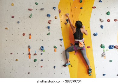 Athletic woman climbing indoors, view from the back