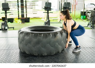 Athletic Woman Feeling Strong Doing Cross Training While Working Out Doing Tire Flip Exercises At The Gym