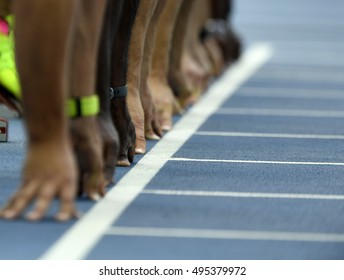 Athletics tracks
 - Powered by Shutterstock