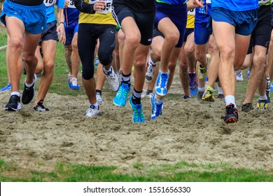 Athletics - Ukrainian Cross Country Championships - Ukraine, Uzhgorod, October 30, 2019: Group of young athletes in action during the Ukrainian Cross Country Championship.