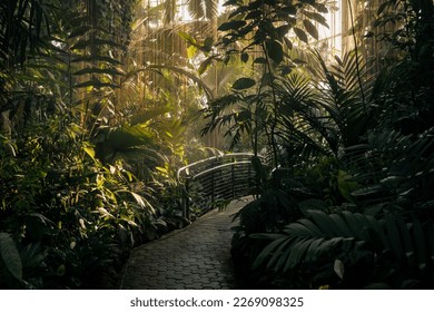 Atlanta Botanical Garden July 2022 - Shutterstock ID 2269098325